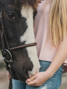 pays-de-gex-ornex-pansage-soins-equitation-