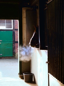 produits-ecurie-pays-de-gex