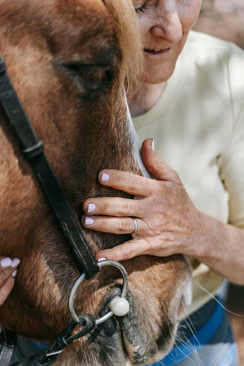 Moment de complicité entre une cavalière et son cheval – caresse sur le chanfrein à Cap Horse Ornex