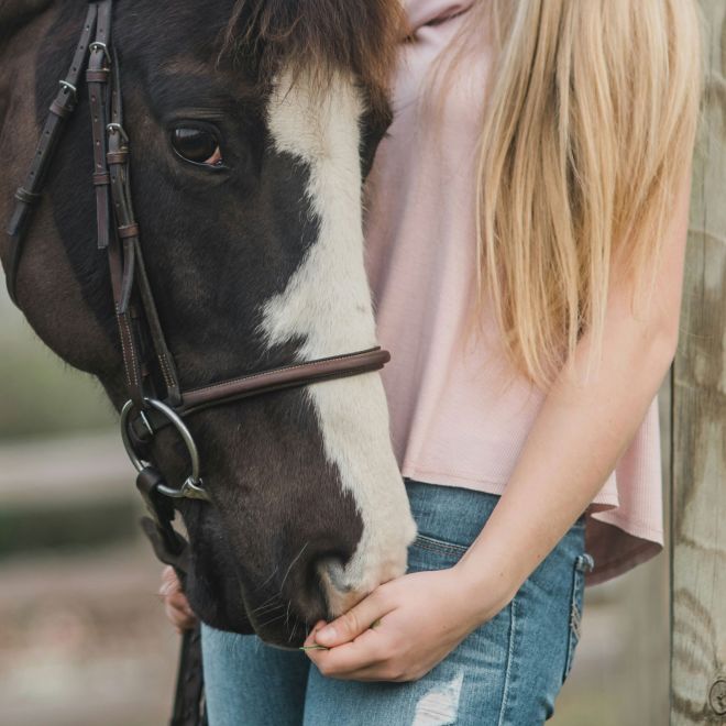 Cheval noir et blanc avec une cavalière caressant son museau, complicité équestre