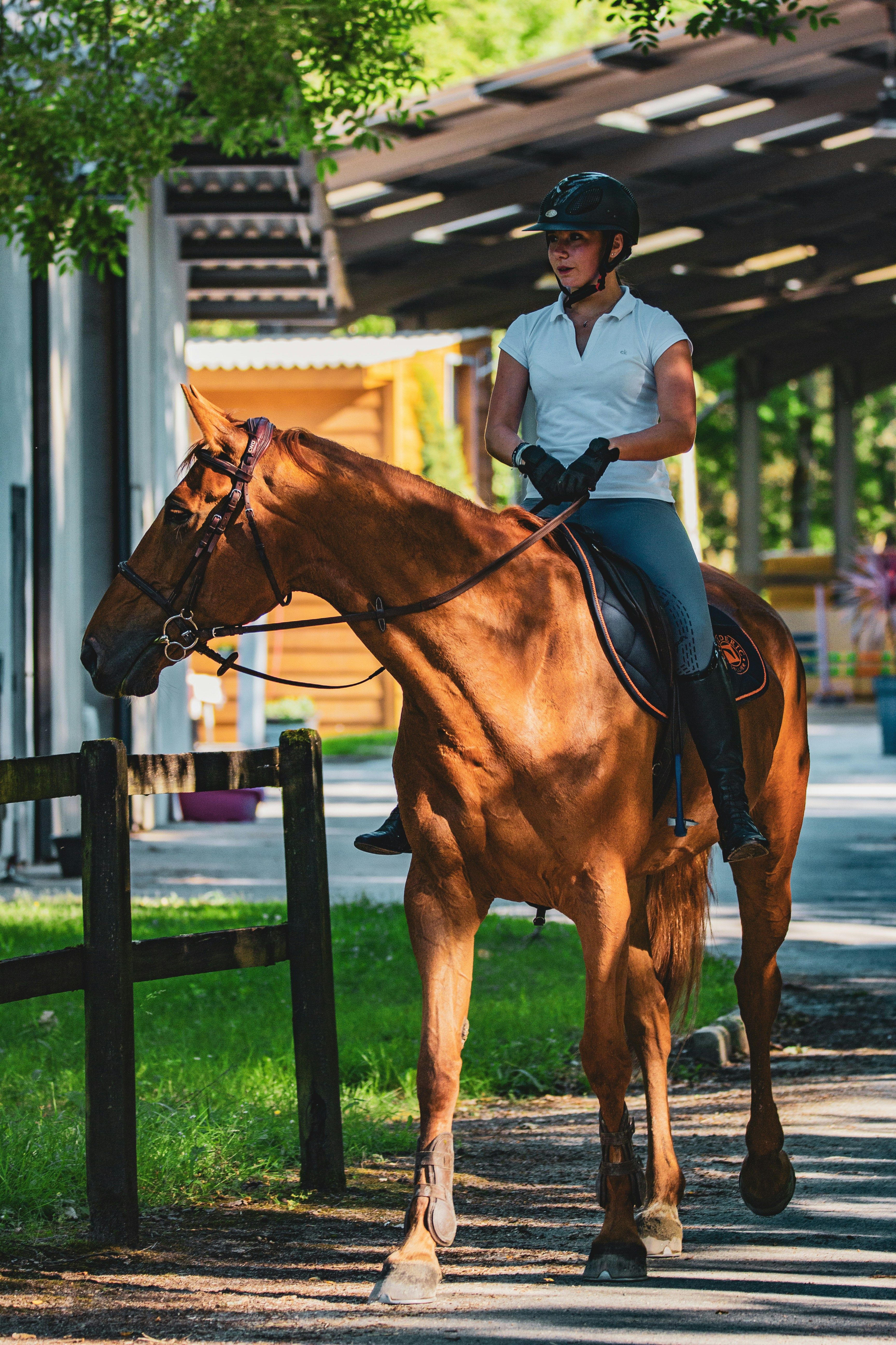 Cavalière en tenue d’équitation montant un cheval alezan sur une allée ombragée – Cap Horse Ornex